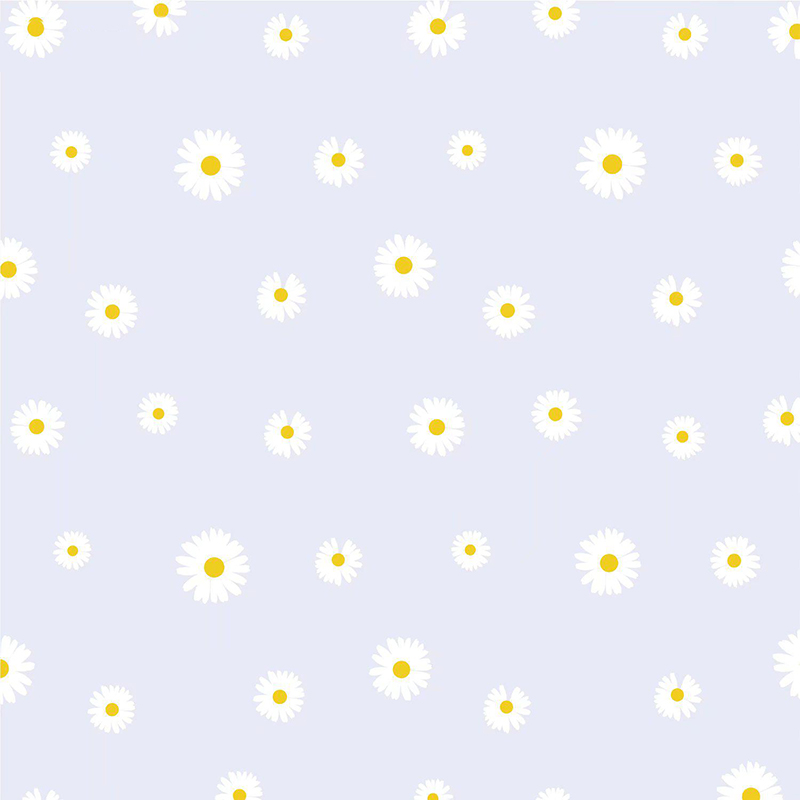 MYHC-18 Fresh Little Daisy Pearl Filmový baliaci papier na kvety
