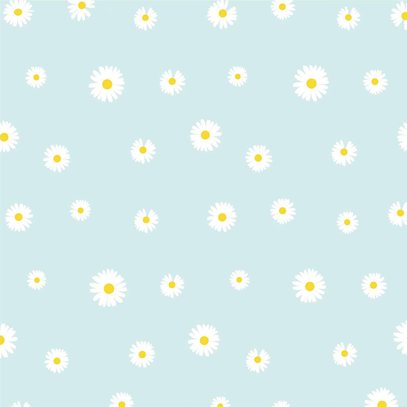 MYHC-18 Fresh Little Daisy Pearl Filmový baliaci papier na kvety