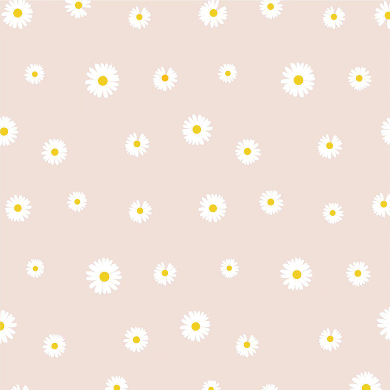 MYHC-18 Fresh Little Daisy Pearl Filmový baliaci papier na kvety