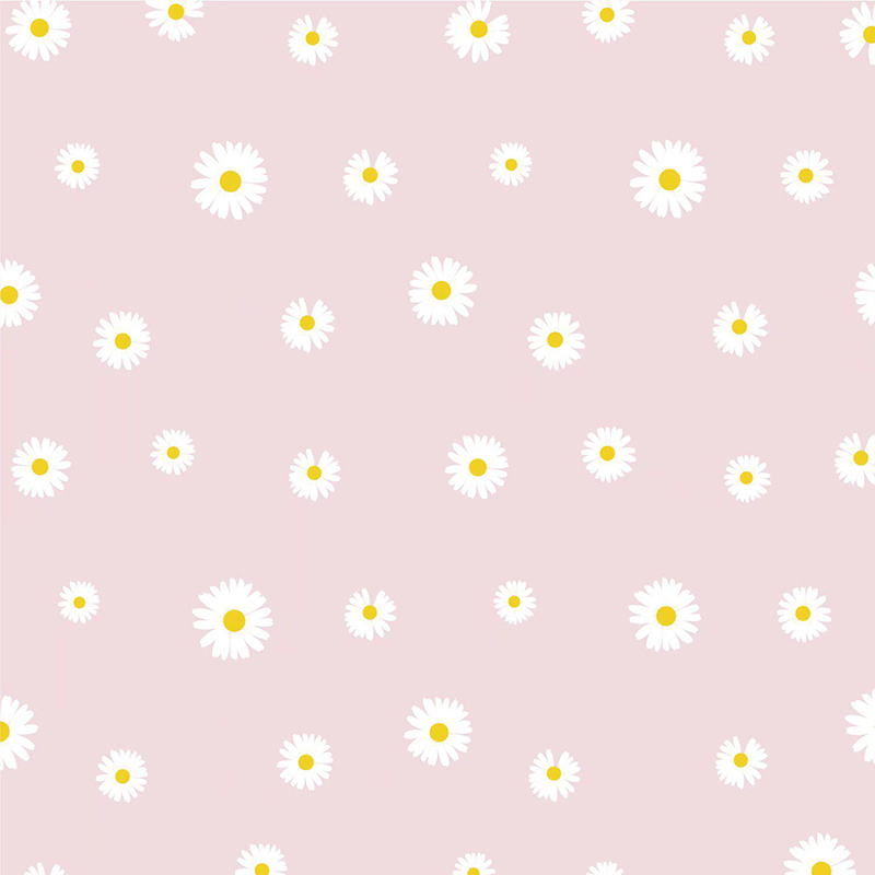 MYHC-18 Fresh Little Daisy Pearl Filmový baliaci papier na kvety