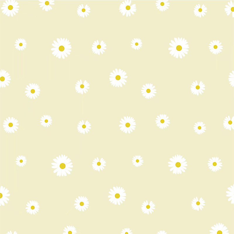 MYHC-18 Fresh Little Daisy Pearl Filmový baliaci papier na kvety